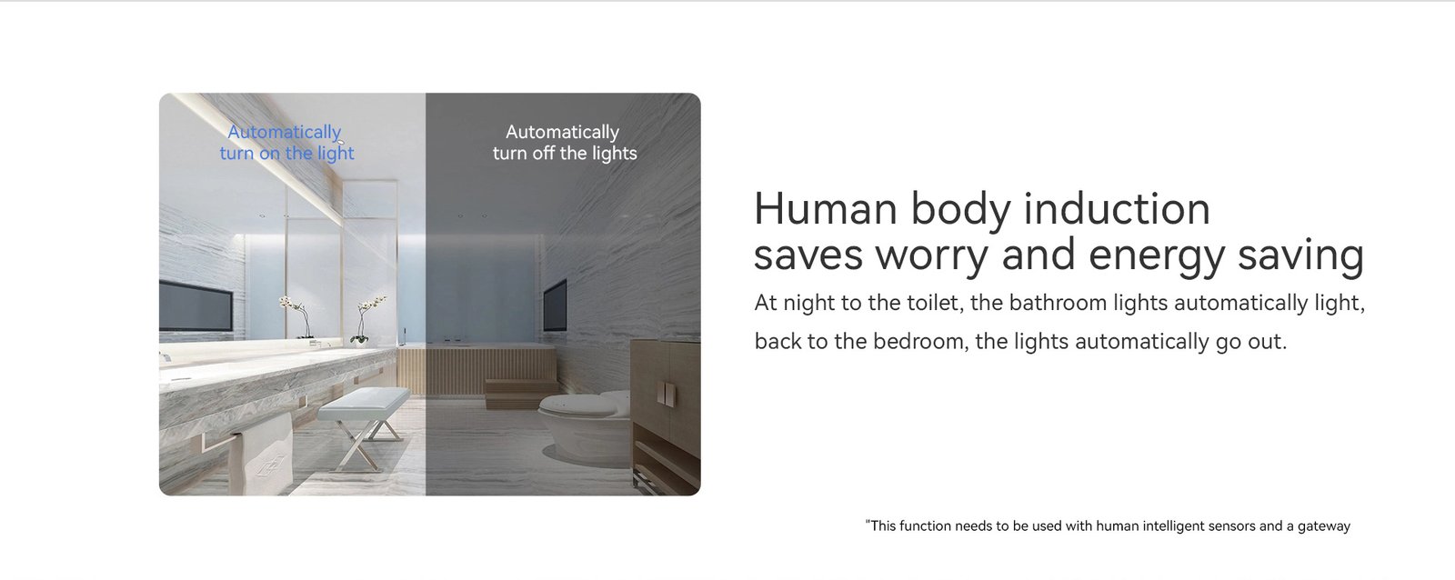 HA01 Smart lighting control switch 10