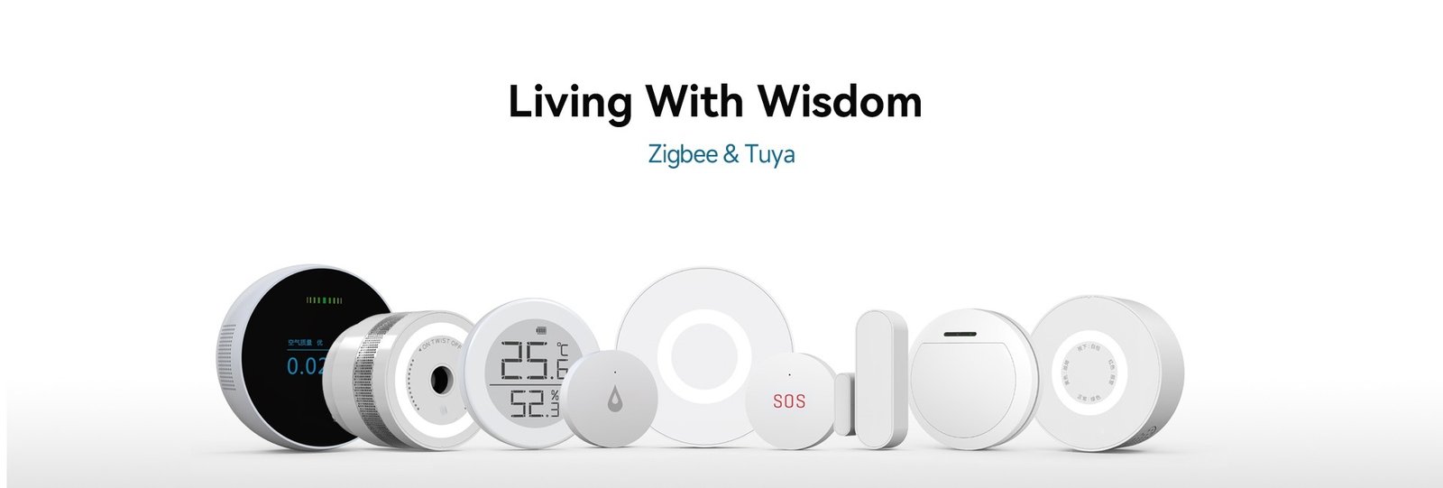 Intrusion Security System for Home Protection