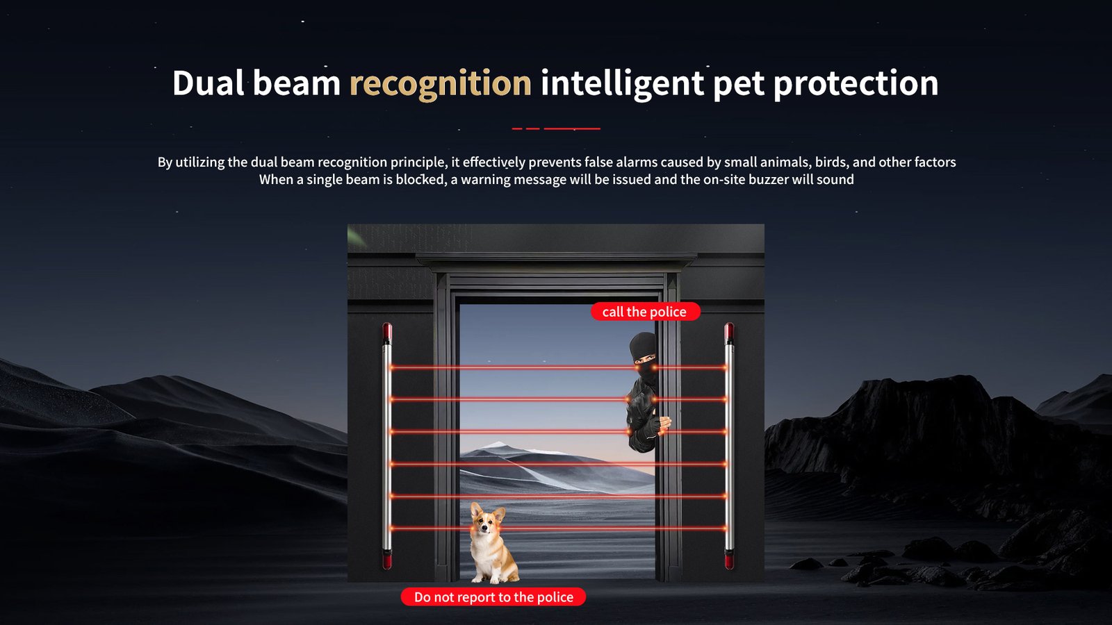 Infrared Fence Style Active Photoelectric Detector 6