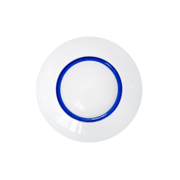 Wireless Ceiling-Mounted PIR Detector
